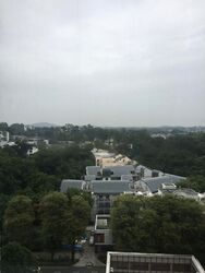 St. Regis Residences (D10), Apartment #573032561